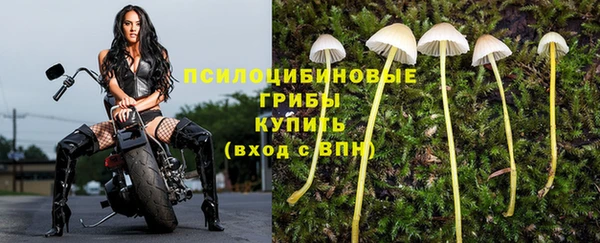 дурь Горняк