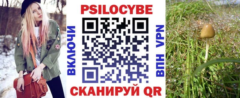 дарк нет наркотические препараты  blacksprut вход  Электроугли  Галлюциногенные грибы Psilocybine cubensis 